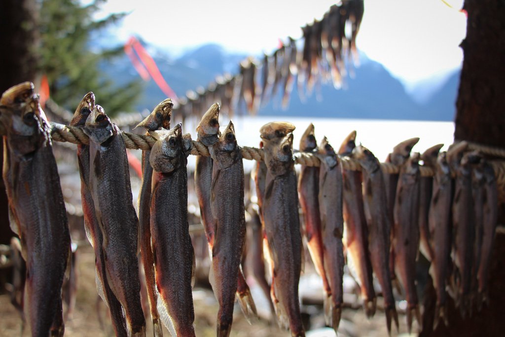 coastfunds's tweet photo. A few photos from our trip to Lax-Da’oots’ip/Fishery Bay, #Nisgaa territory last month. Thank you to all who welcomed us and showed us around. It was an incredible trip and an unforgettable experience. #eulachon #oolichan https://t.co/5pUXj8ua7A