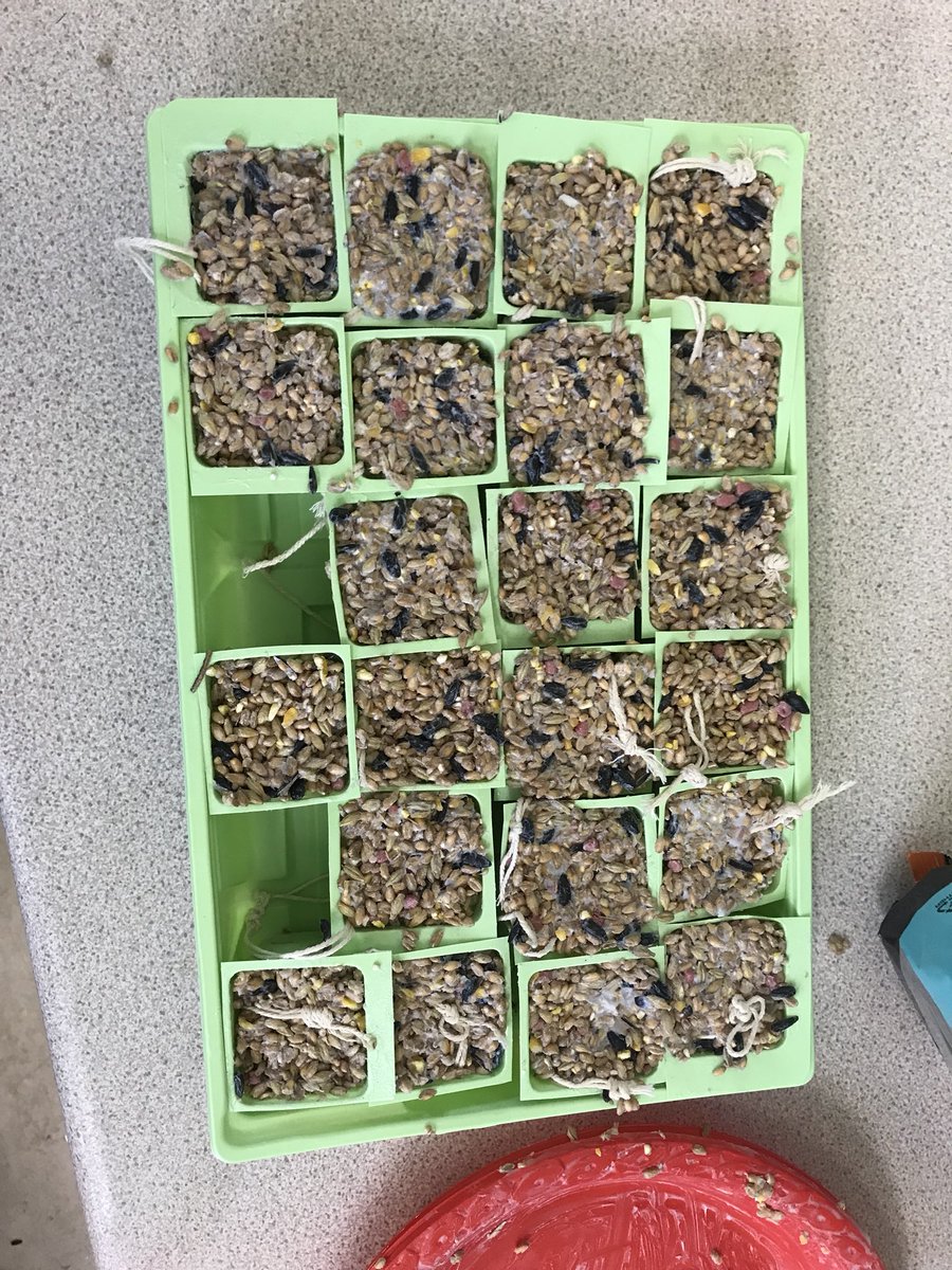 Miss Cecen tweet media