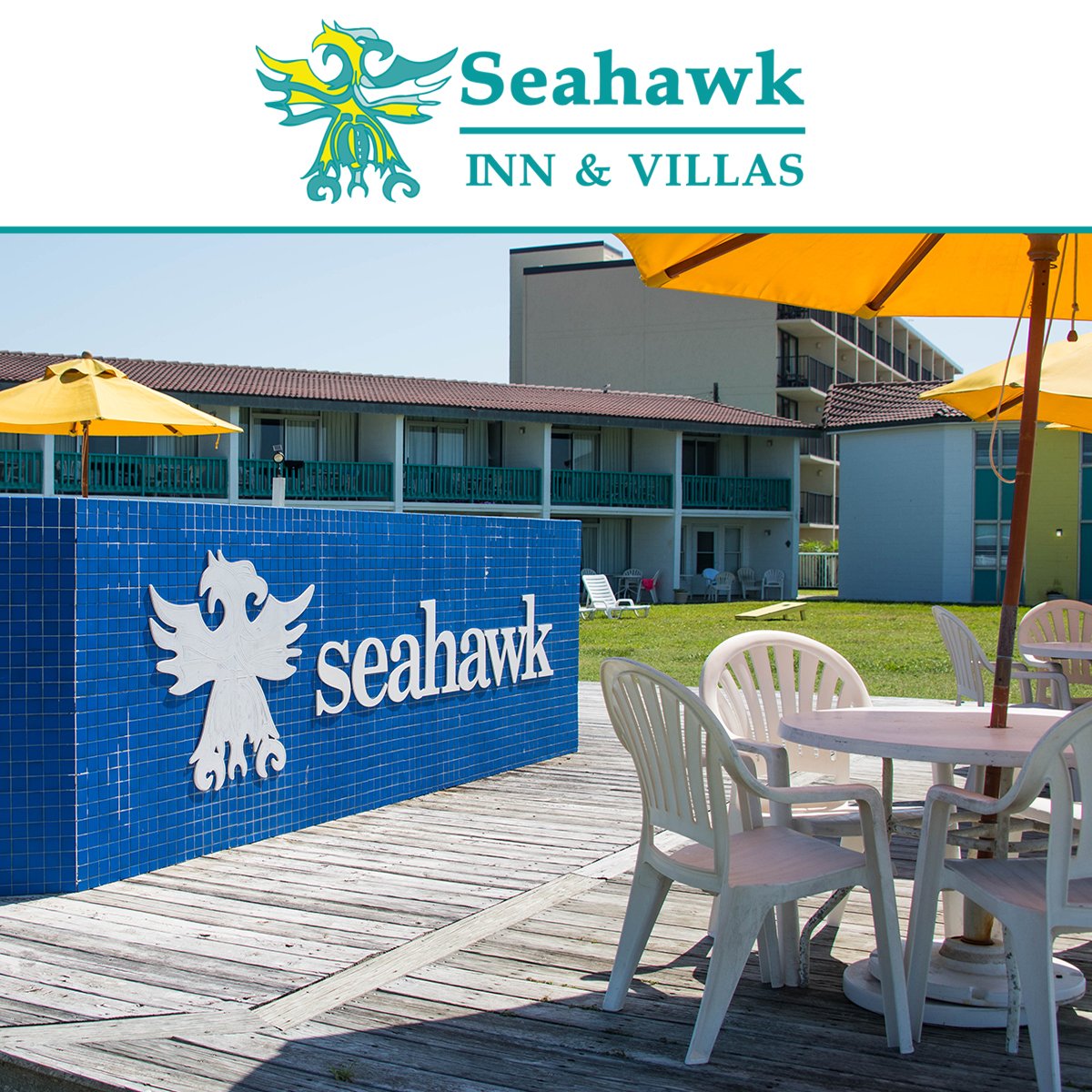 SeahawkInn's tweet image. The outdoor amenities at the #SeahawkInn include: a shower area, ocean front hammocks, a gas grilling station, beach bikes, lawn chairs, an outdoor eating area, corn hole games, as well as an ocean front pool. Call (252) 726-4146 to book your stay at your home away from home!
