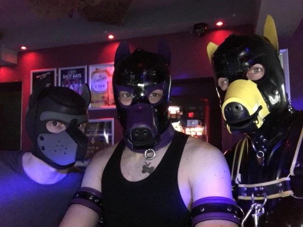 TheHumanPup's tweet photo. Meet &amp; Most Cardiff starts in ONE HOUR! Are you going?
Full event details: https://t.co/ePvkRsNlSp
#thehumanpup https://t.co/CHvIOmoigW