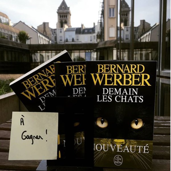 LivredepocheSFF's tweet photo. On poursuit notre semaine du livre avec Demain les chats de @Werbernard : un livre où les matous peuvent enfin montrer de quoi ils sont capables ! 🐱
RT + Follow pour tenter de remporter un exemplaire de ce livre ! Fin du concours demain matin à 10h ! https://t.co/QgcMA9U3G3