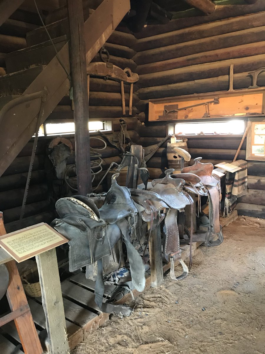 LatsonRobin's tweet photo. Ft. Inglish Village in Bonham, Texas - the perfect experience to go with our Line in the Sand book! #bearshine #mymisd @bears4thgrade @bennettbears https://t.co/1NRnui0CJp