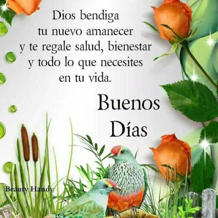 LilianaSnchez9's tweet photo. @abril_hamdam @BKyKmj @Miss_Dan_Ce @profcancun @migunsa @Isabella59pe Amén 🙏. Gracias corazón 😘 https://t.co/QVrWptI4Nx