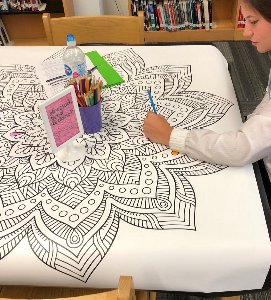 FZ West High Library tweet media