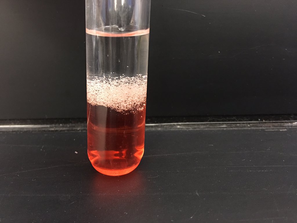 MrsGeorgeOJR's tweet photo. Strawberry DNA extraction  #OJRbiology #OJRscience https://t.co/wcVG9wnqg3