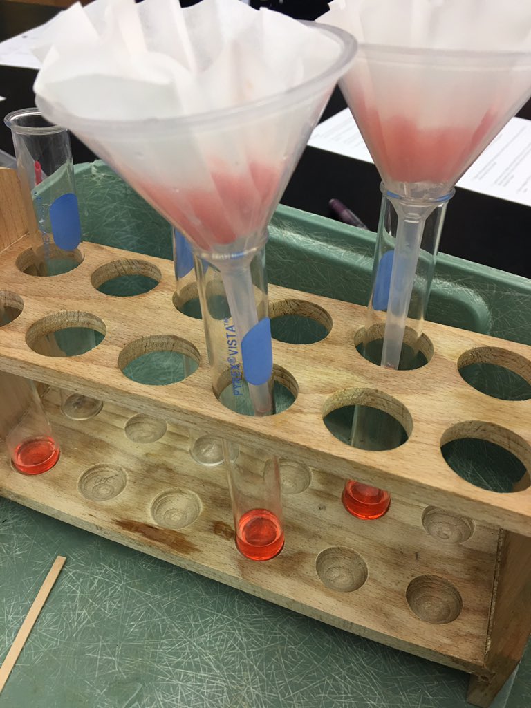 MrsGeorgeOJR's tweet photo. Strawberry DNA extraction  #OJRbiology #OJRscience https://t.co/wcVG9wnqg3