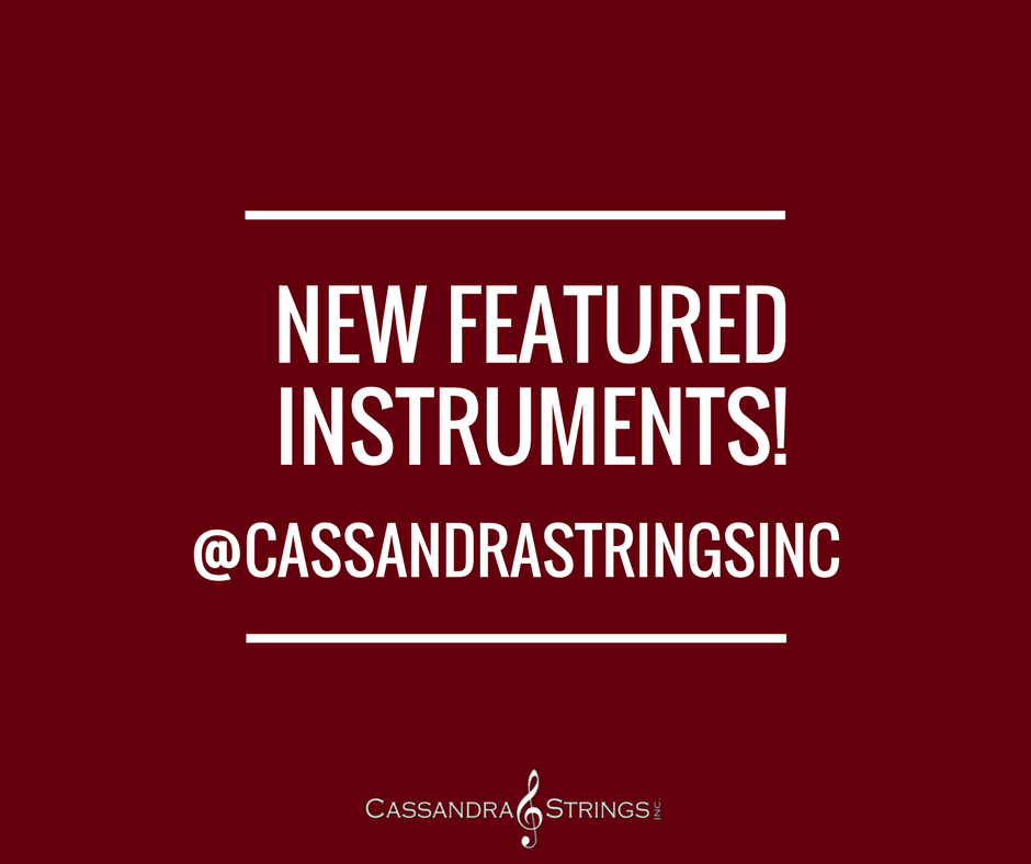 CassandraString's tweet photo. We've been featuring our Karl Thunemann violins! Follow us on Instagram to find out more! https://t.co/uqpGN0u2WI