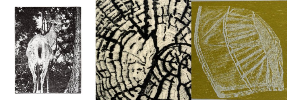Coming up May 4 &amp; 5! Rock, Paper, Scissors: A special juried show &amp; sale of original artwork from 18 ArtsPay artists, featured artwork here from Donna Stewart, Ginny Carnevale, and Jan Fretz. Find the perfect gift! Visit the event page for more info: ow.ly/AFQt30juvvm