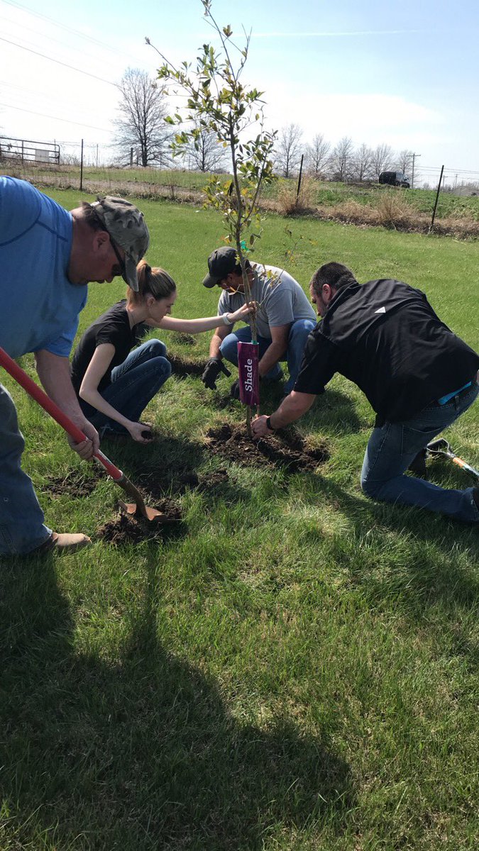 MVille_ParksRec's tweet photo. Thank you to Shoe Sensation for wanting to celebrate Earth Day in a special way. What a beautiful day to plant three trees at Donaldson West Side Park! #experiencempr #treeplanting #celebrate earth #meetmeatthepark https://t.co/VTlWkIKWfX