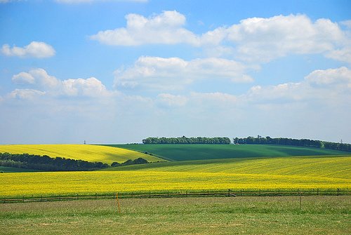 Sask Farmland Values Keep Rising dlvr.it/QQbfb9 https://t.co/pmOILLEjnm