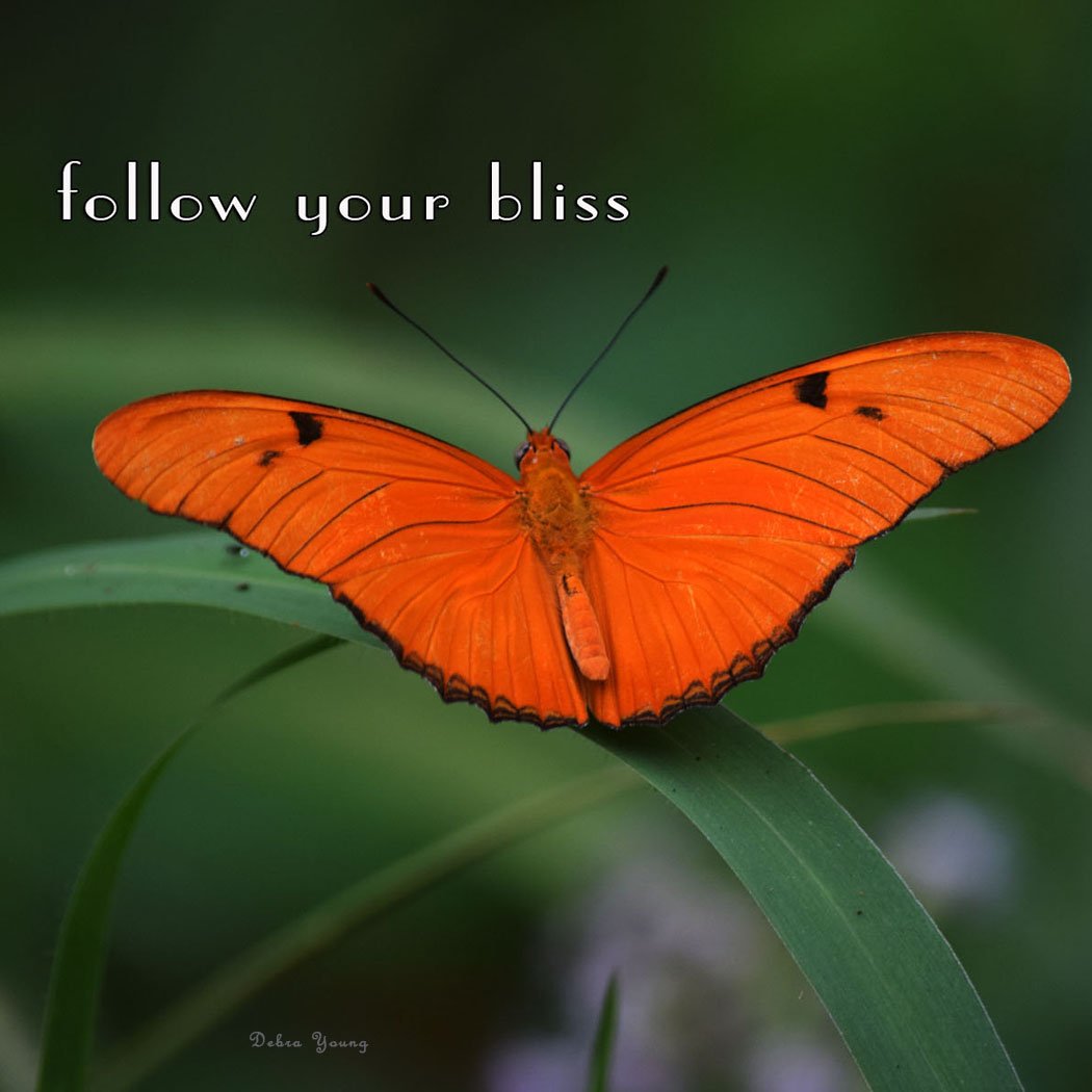 EarthHearts2's tweet photo. #TuesdayThoughts If not now, when? https://t.co/KdQxZj8u0D