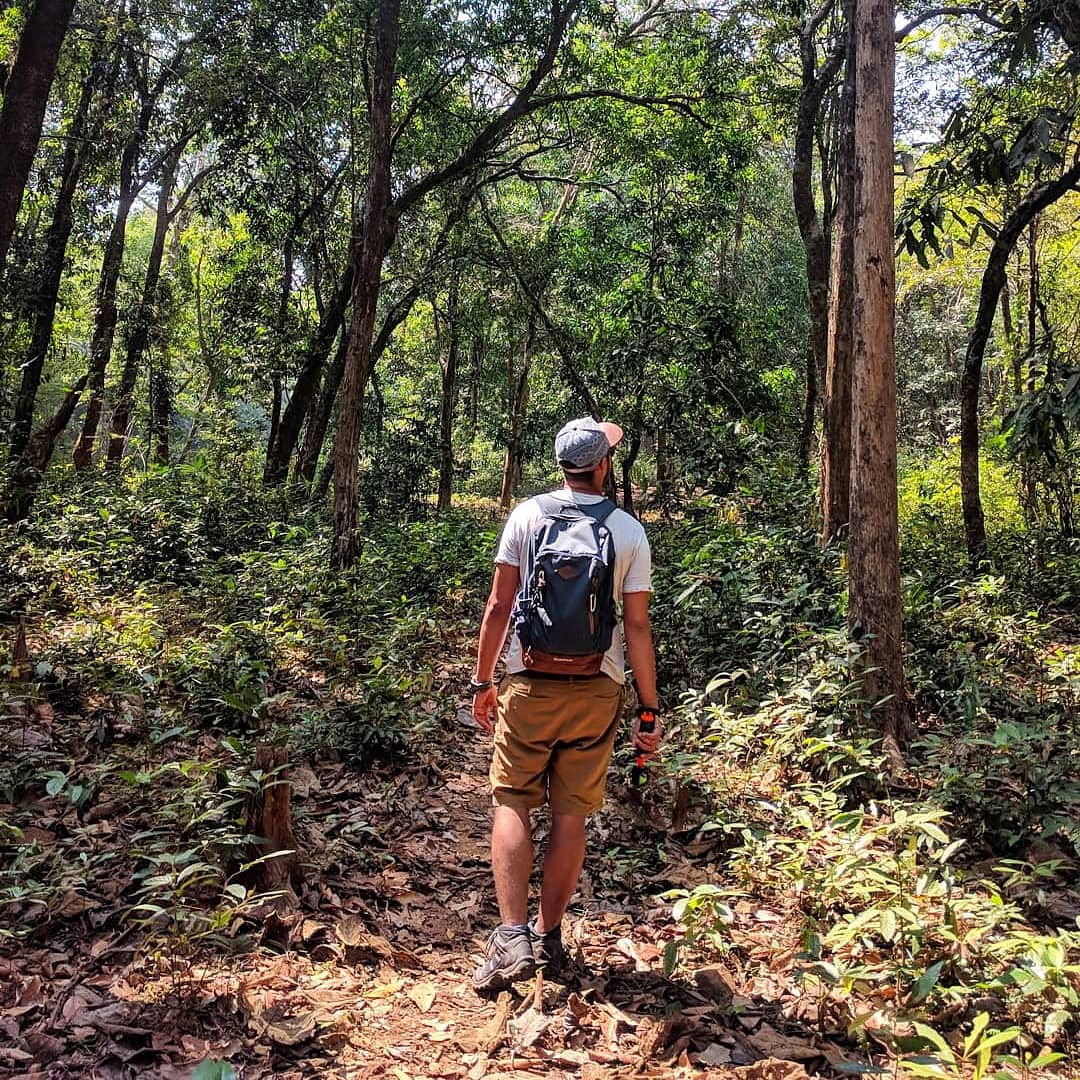 Planning the next adventure event in this magical rainforest, nestled in the untouched wild of coastal Karnataka. 
Dates: 18 - 20 May 2018. 
Only 20 slots available. 
DM for more details.