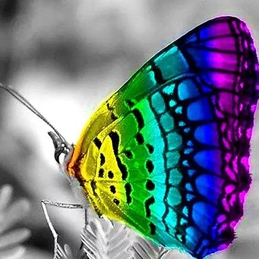 aundreatharris's tweet photo. The beauty of transformation - growth through the process of life! ~ AundreaTHarris #GrowingThroughLife #SeasonsOfLife #Grow #Growth #Life #Seasons #ThereIsAPurpose #ChangedInTheProcess #Transformation #Process https://t.co/pCfpbHdRiW