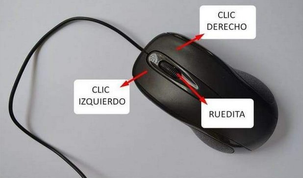 Després de moltes hores d'anàlisi hem pogut elaborar un manual per saber com funciona un ratolí...