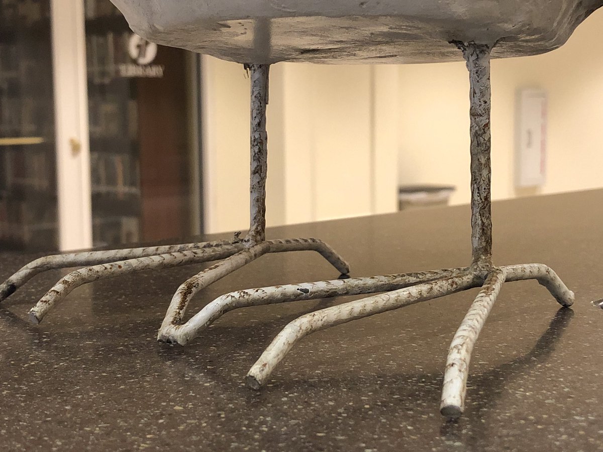 Hitting the gym this morning. Leg day. 
#JFBCbirds #birdlegs #gainz