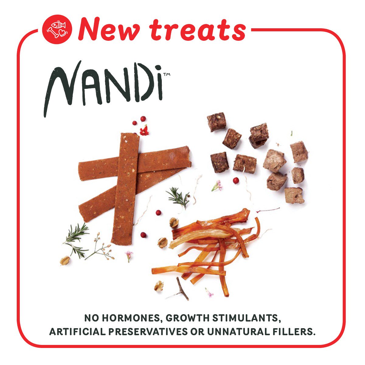 Absolute Pets tweet media