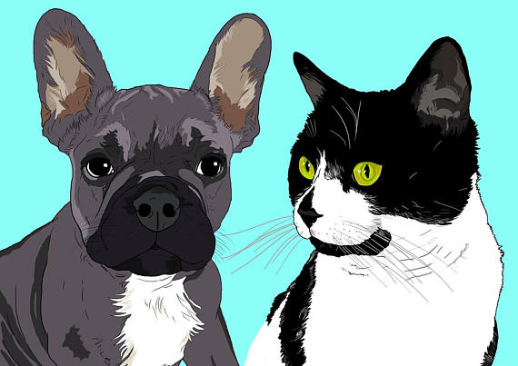 carmenccdesign's tweet photo. Personalised #cat and #dog portraits. Visit: https://t.co/cylMC5mfSq #cats #dogs #giftforpetlovers #petlossgift #lovepets #giftideas #gifts https://t.co/8hHDHnheJq