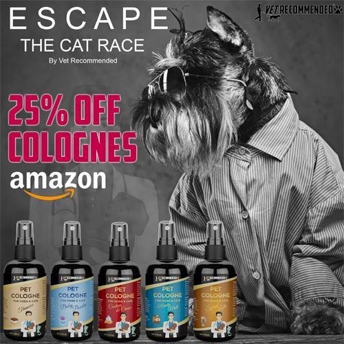 Vet_Recommended's tweet photo. 🐶 Don't miss a chance to buy Brand New Release Dog Colognes with 25% OFF! 🐕 🐩 Have your furry friend smell amazing between bathes!
Grab yours here: https://t.co/IItXUSUr9M https://t.co/ZpL2i4y1ab