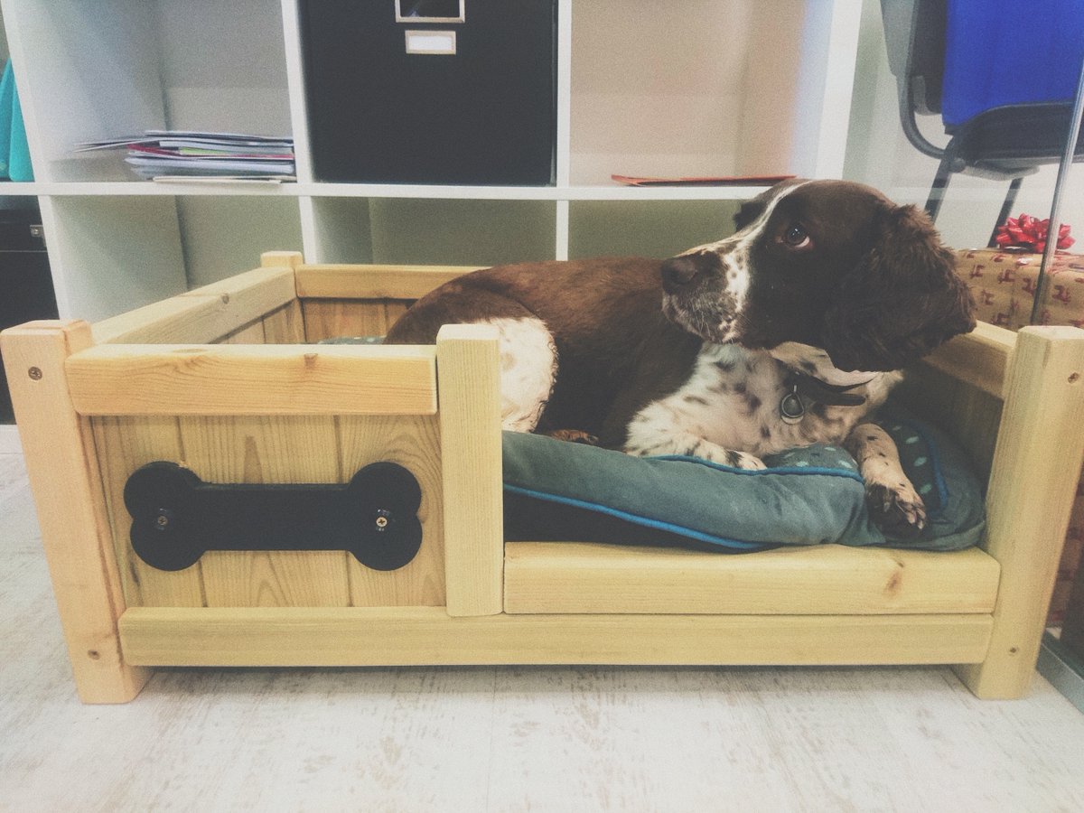 Support our local #business in #Leicester, and purchase a high-quality #dog bed today! 💝🐕
Available for purchase on #Facebook: bit.ly/2FppG3w