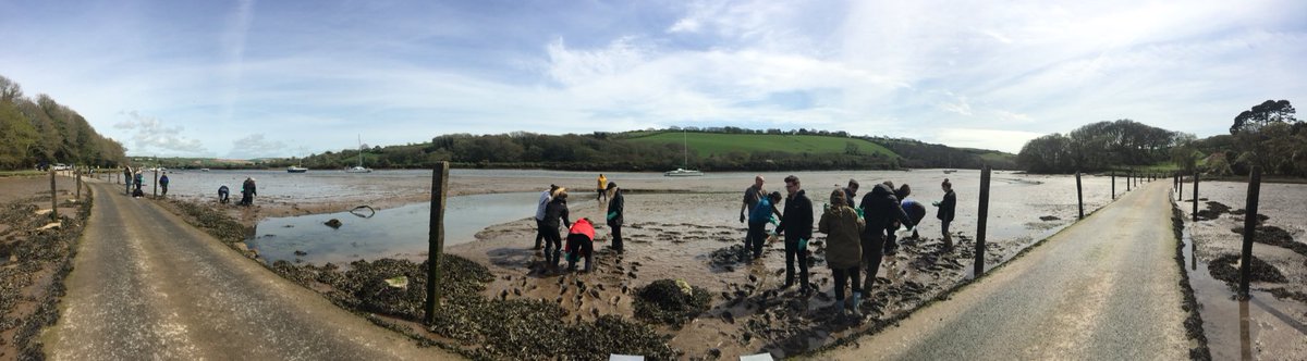 UoPMarineBiol's tweet image. Mud mud glorious mud #uopslapton macrofauna sampling down an estuary #marinebiology #fieldworkisfun