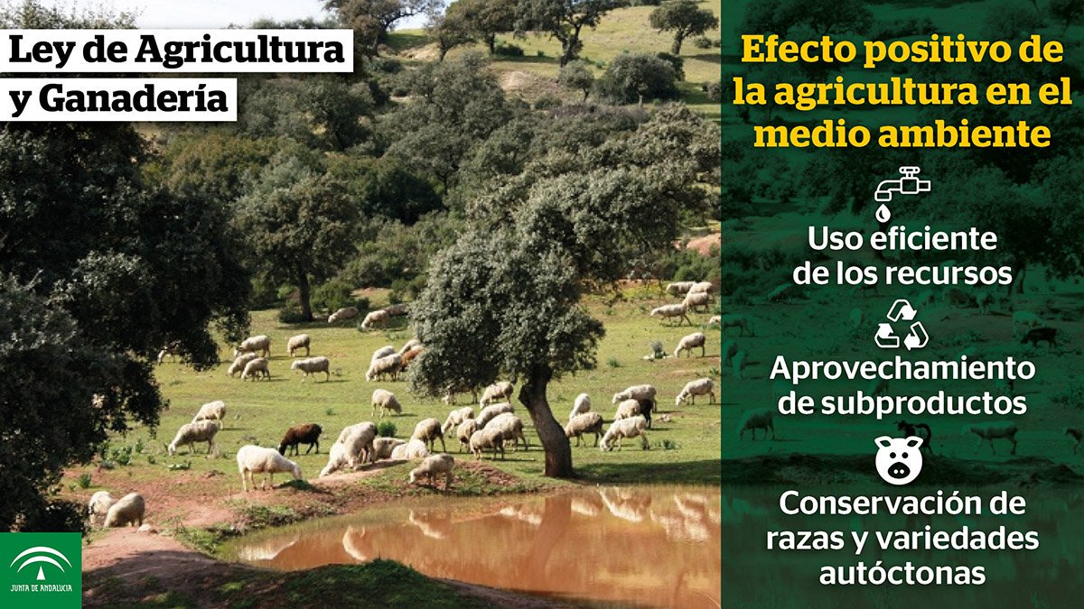 Andalucia_Rural tweet picture