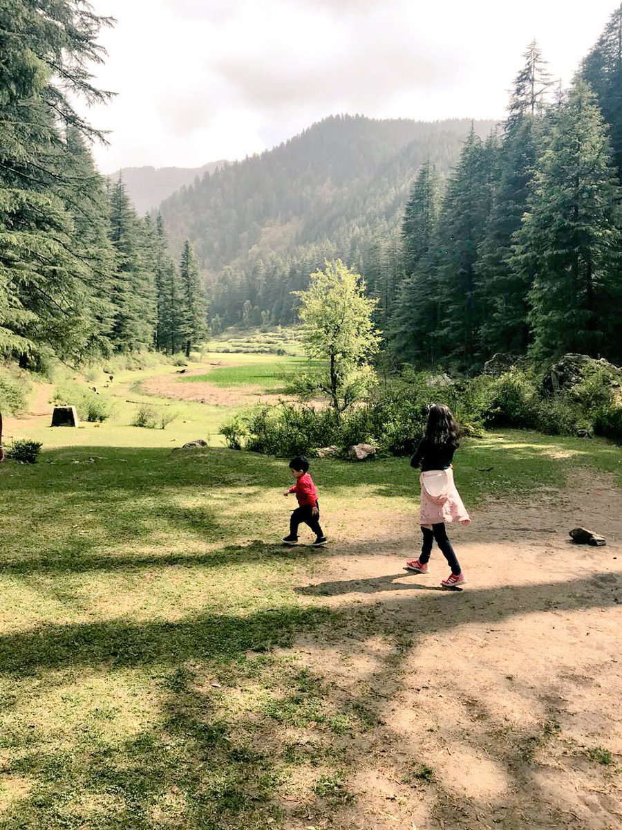 Woodswalksainj's tweet photo. #woodswalksainj #sainjvalley#camping #outdoors#greathimalayannationalpark#sainj https://t.co/ImcqQYYQli