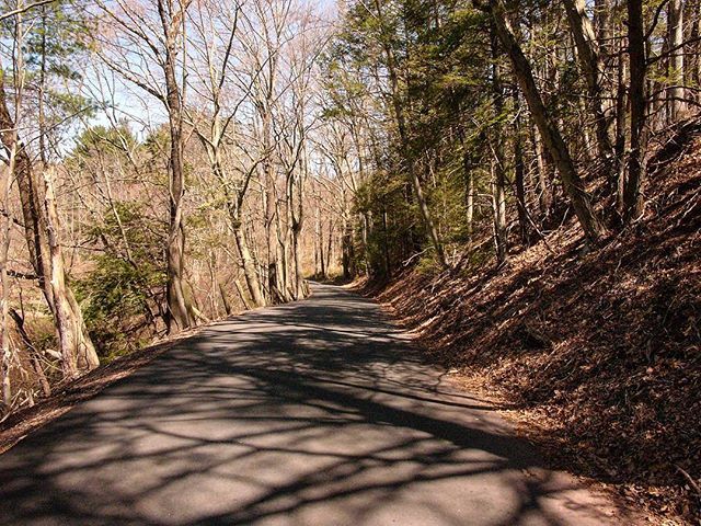 guille_lastra's tweet photo. Connecticut, country side #leica #digilux2 #vintagecamera #glpix #glpixphoto #spring #connecticut https://t.co/uFAn09ZI6n https://t.co/KKn0vvdP8X