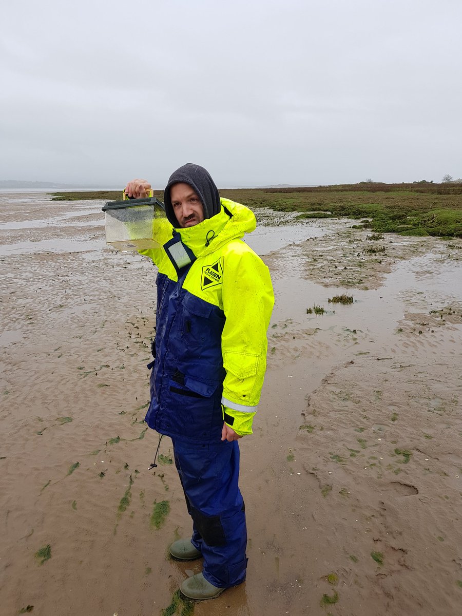 AndyVDSOlivier's tweet image. Somehow managed to convince my colleague @karythis to come collect #mussels with me in the pouring rain on the mud flats. But if its not wet and cold is it really fieldwork.  #anglesey #fieldworkisfun #Rainy #phdchat @BangorUni @sos_bangor_uni