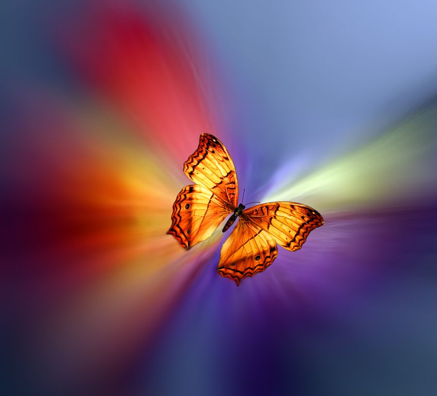 Since you alone are responsible for your thoughts,
Only you can change them.

P Yogananda
Pic J Sumalla