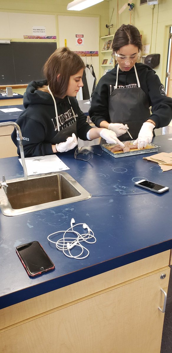 Starfish dissection lab with Ms. Finets Biology class 🌟 <a href="/lhaemsb/">LaurenHill Academy</a>