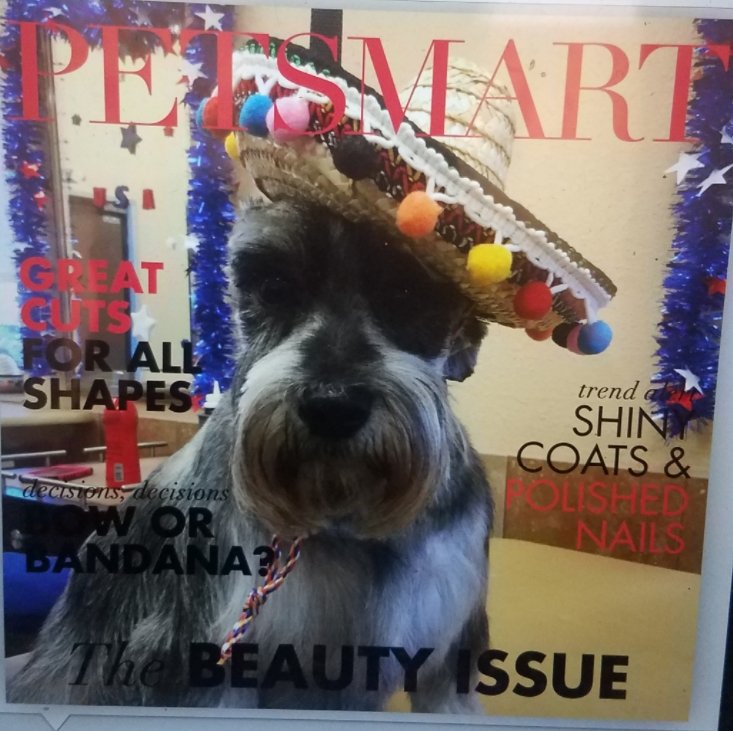 Come in to the grooming salon this weekend in east brunswick for  free cinco de mayo picture and a goodie bag 💥💥 #fortheloveofpets #2144 #petsmartgrooming #cincodemayo #eastbrunswick #petsmart