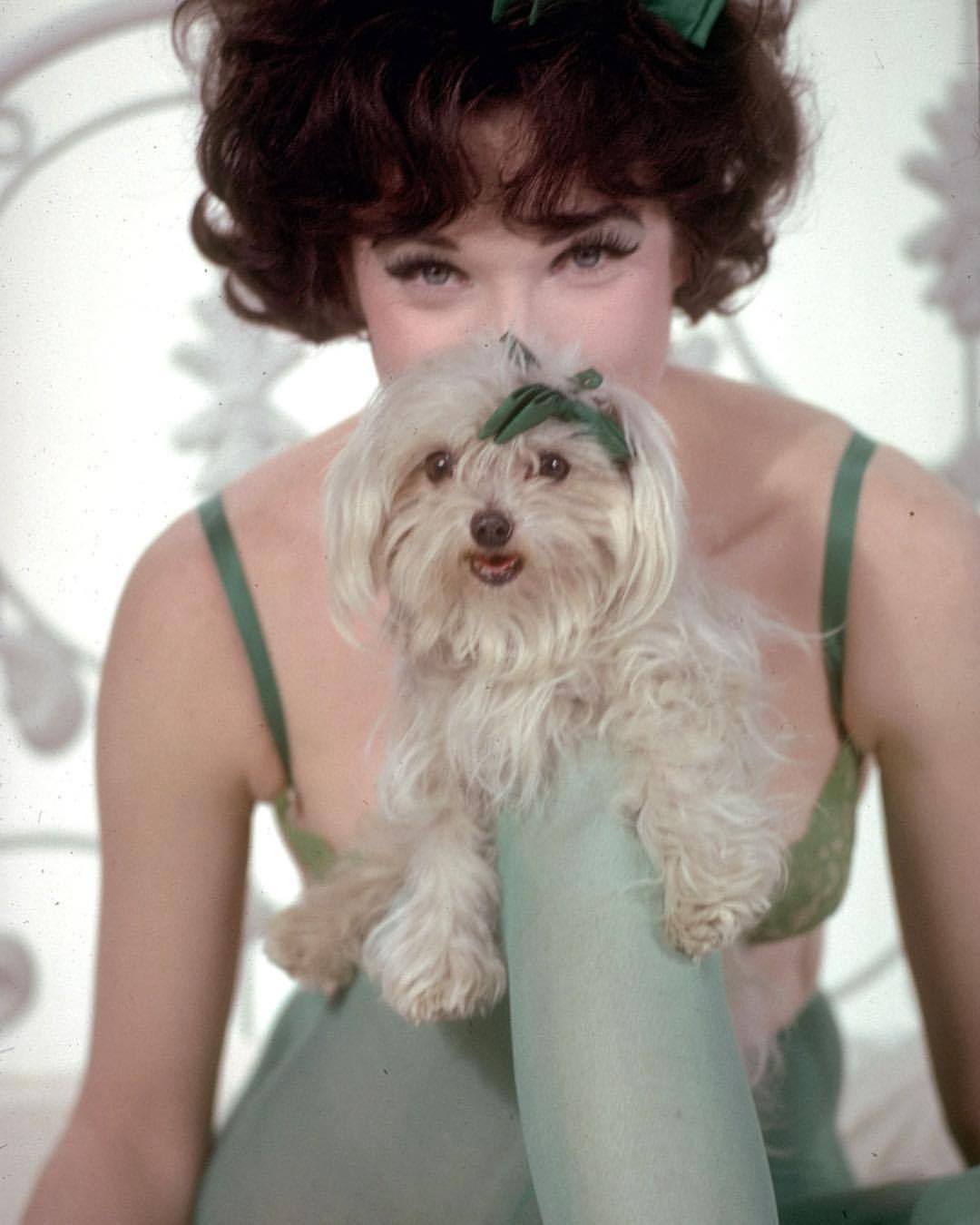 Happy Birthday, Shirley Maclaine! Born 84 years ago today on April 24, 1934 