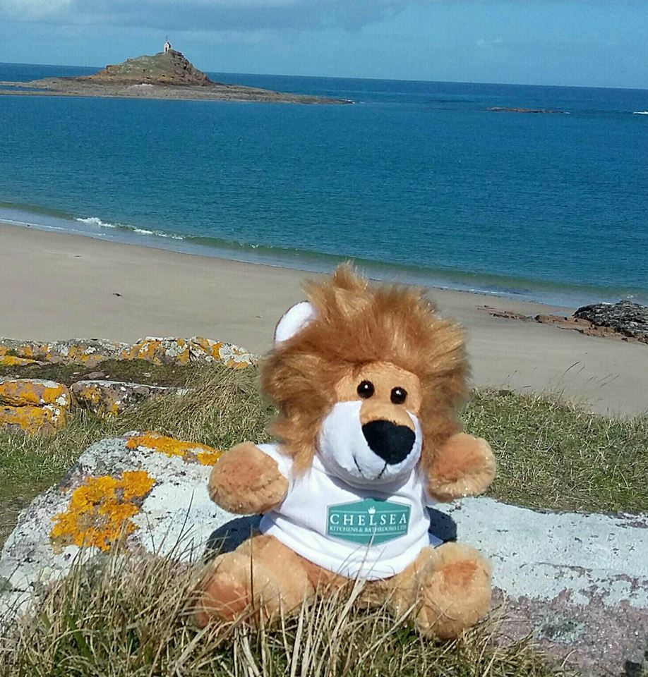 Follow me on my adventures around the world

First stop France 2018

facebook.com/rorylion2018