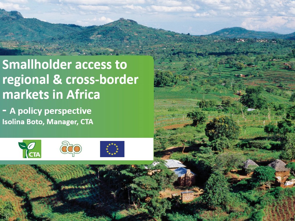 CTABrussels's tweet photo. Today at the @APPG_Ag_F4D meeting on "Opportunities for regional and
cross-border trade in Africa" @CTABrussels manager @isolinaboto is presenting key policy perspectives on access to markets for smallholder farmers in Africa. Stay tuned w. us & @CTAflash for more! #UKAPPGsIntDev https://t.co/hJ85LVHaqC