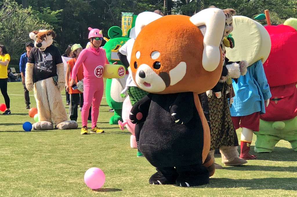 red panda costumes