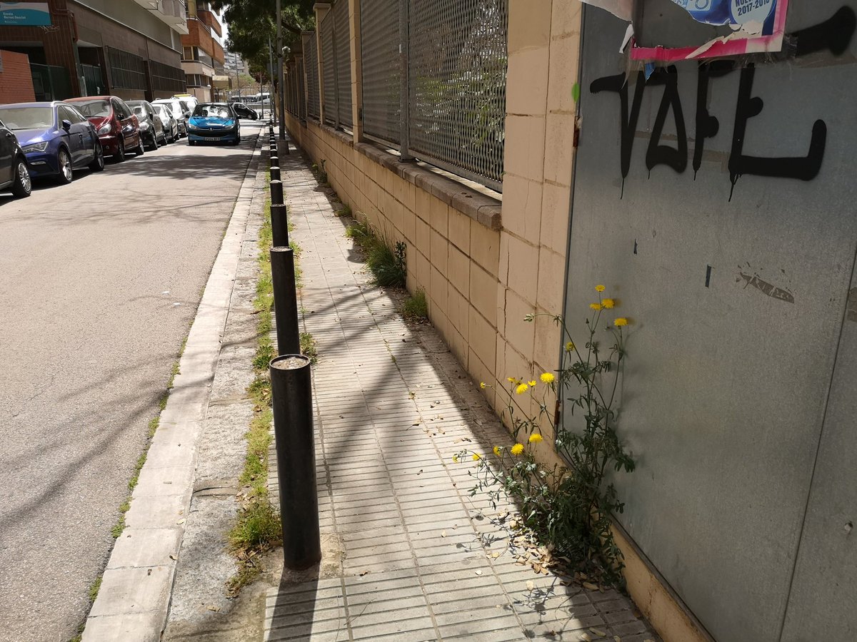 MayoralMarc's tweet photo. Es evidente que Nuria Marín ya no presta atención al estado de las calles de nuestra ciudad. https://t.co/yqzJ5tAtO5