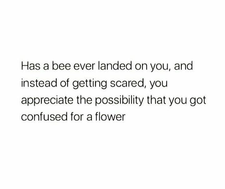 KalekyeMumo's tweet photo. 🌻🌻🐝🐝
#TeamKalekye You deserve good things too. Don’t over think it. https://t.co/Kejae8mxQC