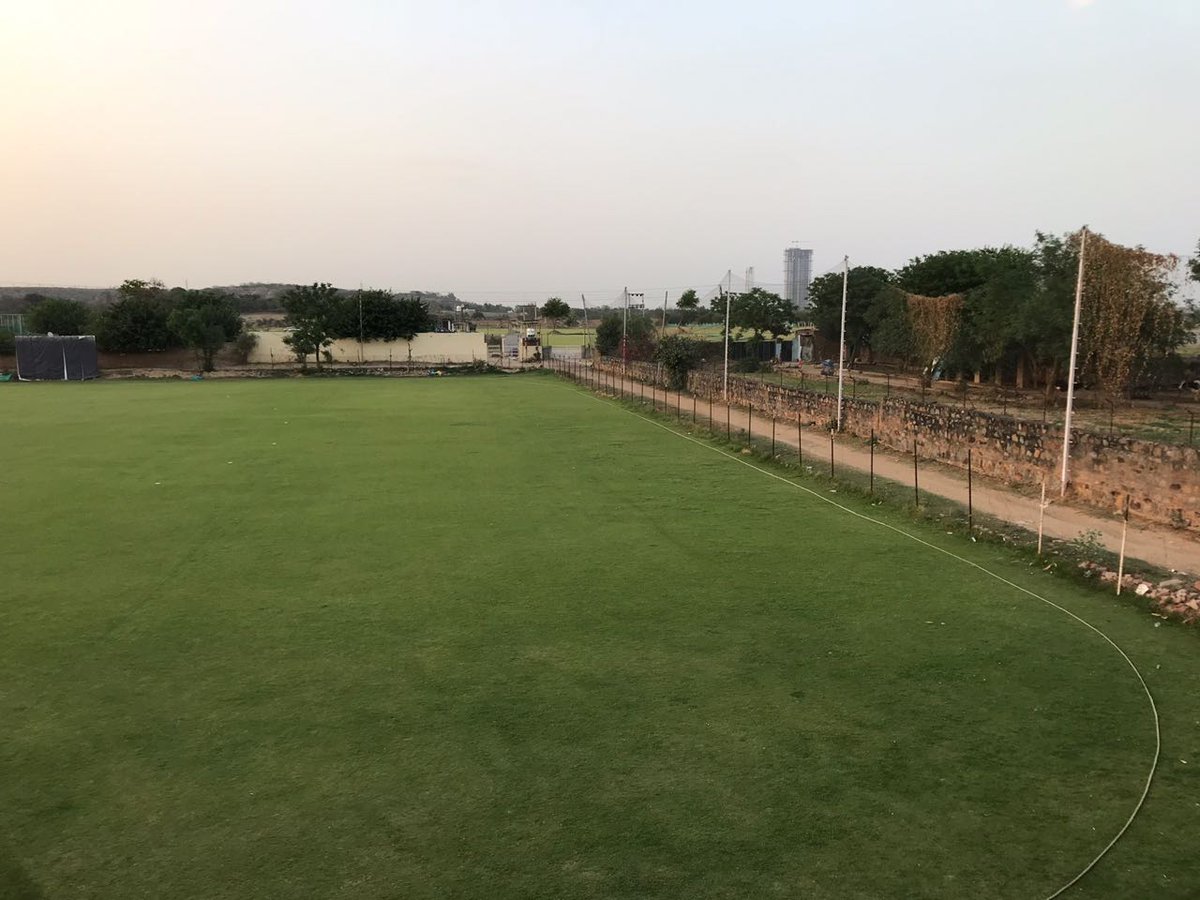 Games Forest tweet media