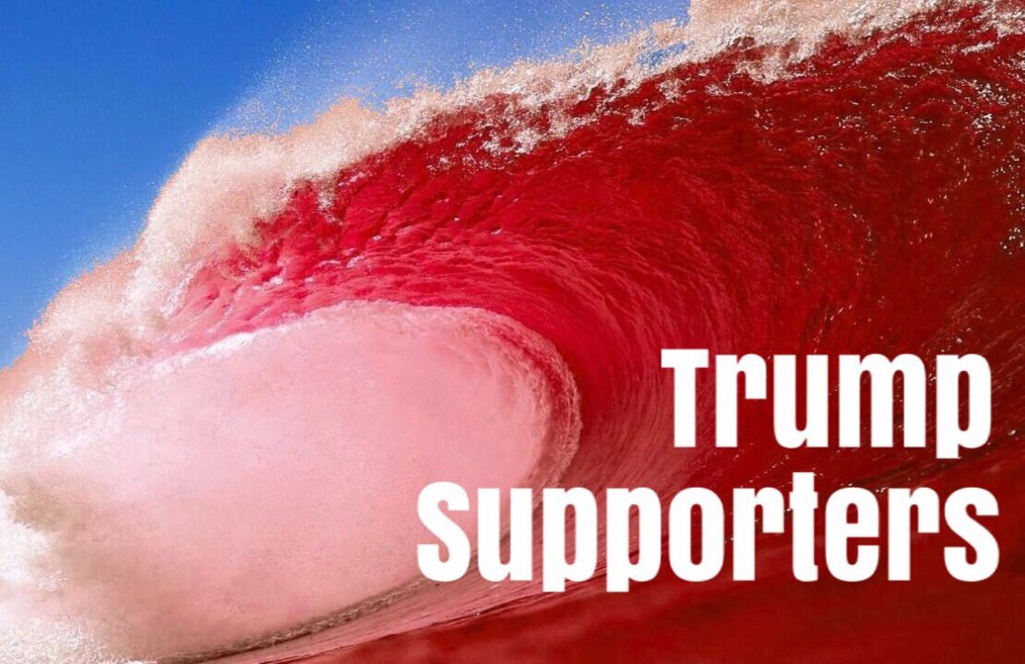 SmithsCoffeepot's tweet photo. #TrumpWorld 🍃🐝 #GoRedByState Nation-wide, Republican Patriots are rallying grassroots reinforcements to win mid-term and 2020 elections in each state. If you’re from Tennessee & want to join the fight Put #TN in your bio & DM @houstonusa6
Let’s keep Tennessee RED!! https://t.co/96F8NADLVC