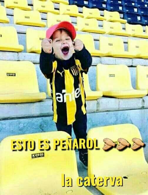 caballolateja's tweet photo. https://t.co/LaSYwGPN1e