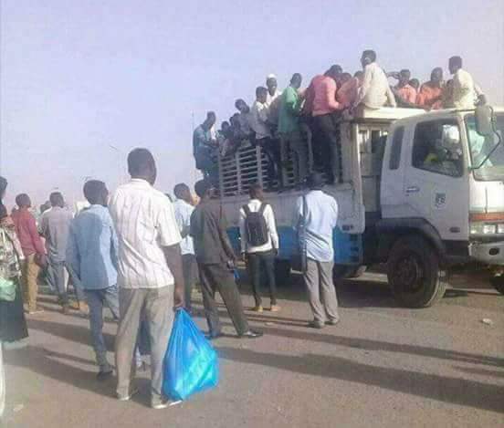 omerosman575's tweet photo. #السودان_انعدام_المواصلات ناس الخرطوم  بضحكو ف ناس الأقاليم عشان بركبو الدفارات والبكاسي  المؤتمر حتي ليكم آتو شديد https://t.co/4AE2yTr7jz