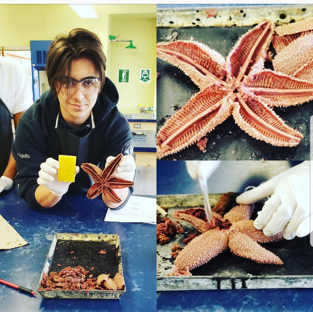 Fully dissected! <a href="/lhaemsb/">LaurenHill Academy</a>