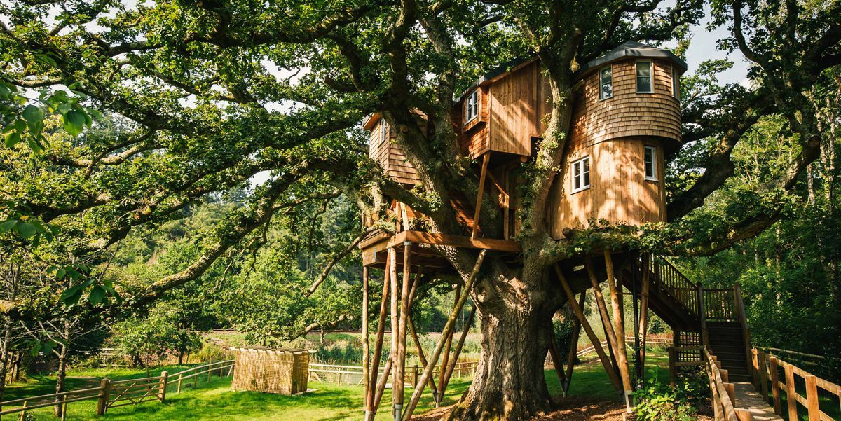 This is the largest treehouse in the UK, and you can stay in it for £270 per night buff.ly/2qYJLqr