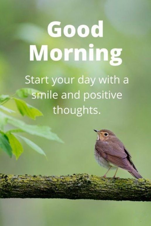 HultgrenCathy's tweet photo. @JessicaDGilbert Happy Tuesday to you Jess and to all Twitter family!💜💛💜💞💞💞😀😀😁😁😁😄😄😄😘😘😘💞💞💞 https://t.co/5HFnD7BEoN
