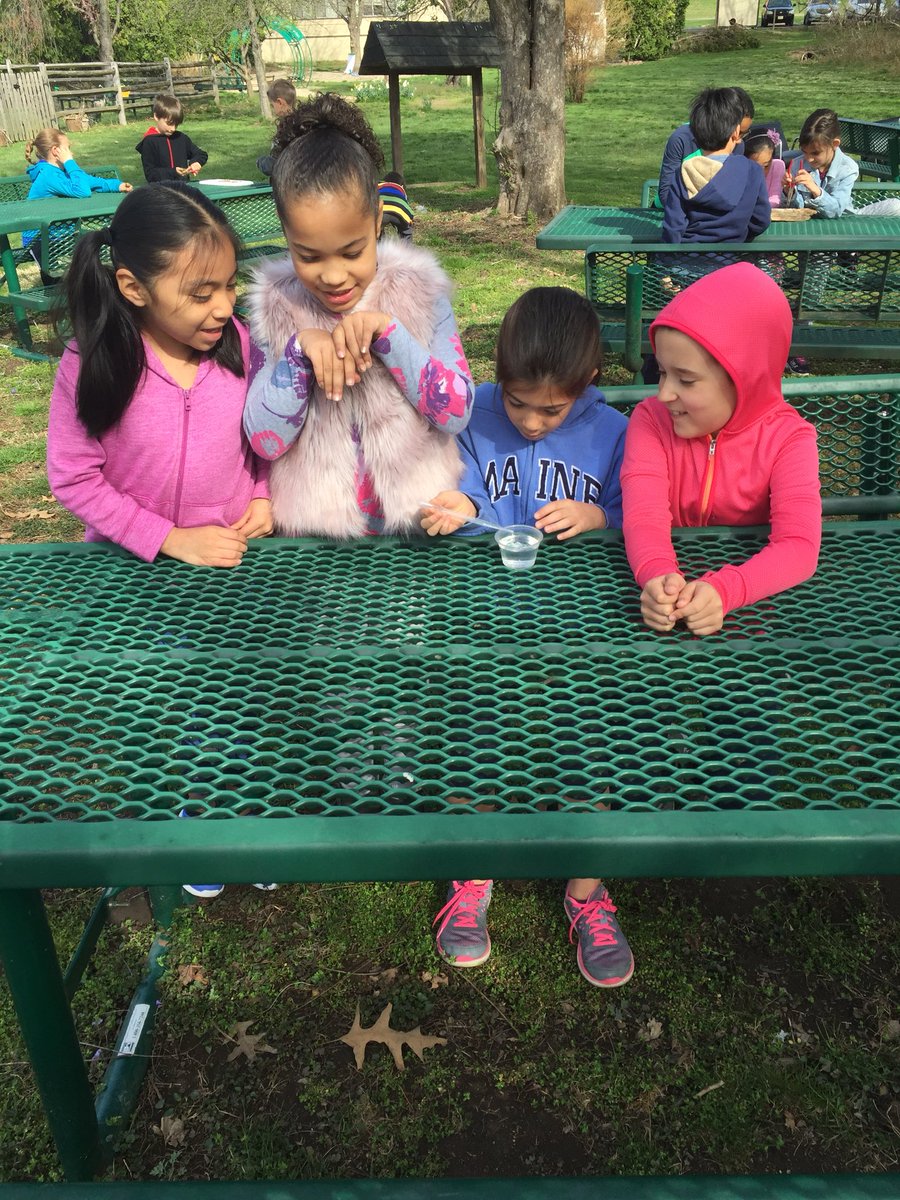 Mrs. McIndoe's Class tweet media