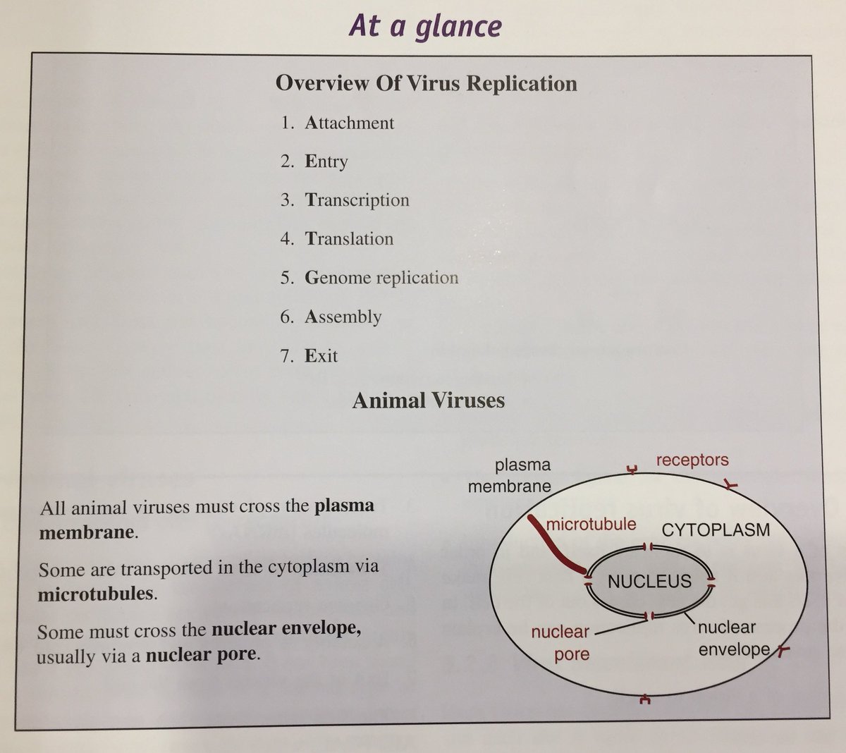 online computational statistics