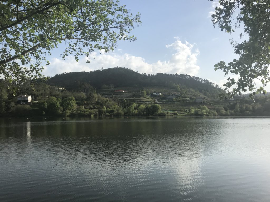 jesusdiez's tweet photo. Hola a todos. Los saludo desde una región poco conocida pero que tiene unos espectaculares vinos DO Ribeiro en España. @CRDO_Ribeiro @jesusdiez https://t.co/ySR4Kmqlvj