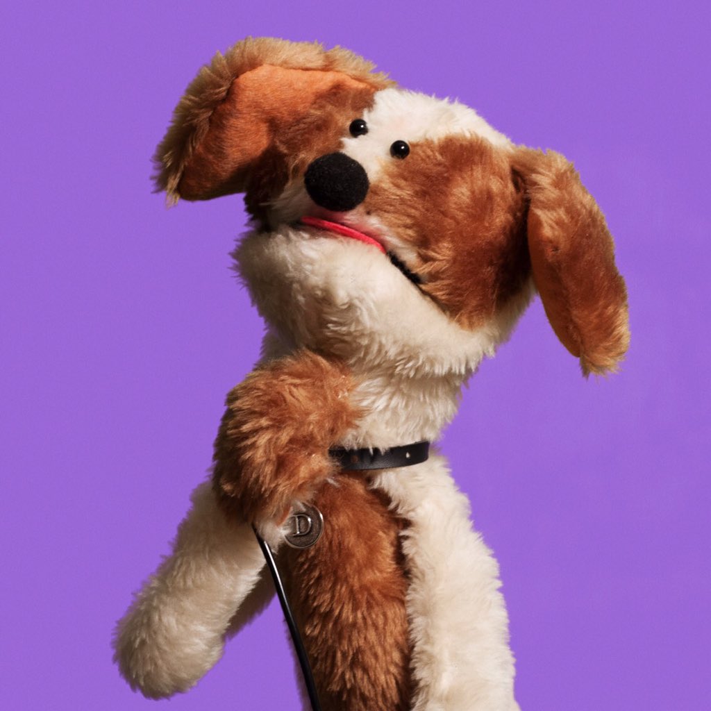 gazelle_inc's tweet photo. #danielthespaniel will return for another #howto on Thursday! #miikshi #handpuppet #dogpuppet #webseries https://t.co/ODtGOe01YW