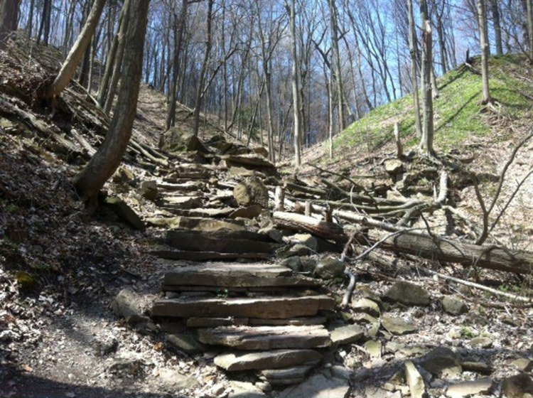 NFLibrary's tweet photo. It's #EarthWeek2018 Thanks to the Scouts and Girl Guides who cleaned up trash in Niagara Glen on Sunday! https://t.co/2qs7HYNYko Photo by L. Roome, 2013. https://t.co/orTVkCAUOB