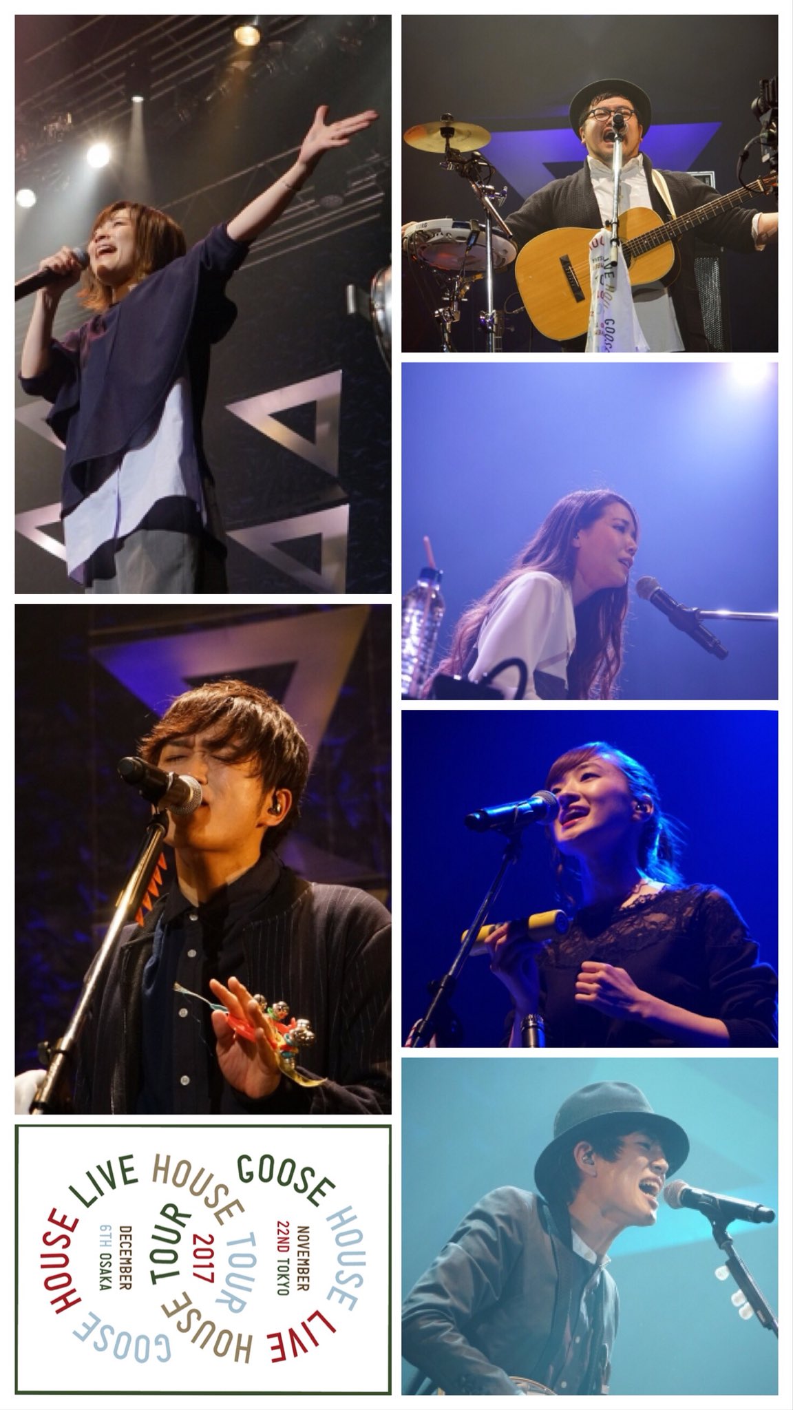 みそしる Goose House Live House Tour 17 Iphone8で壁紙として使えます みそしる Goose House Live House Tour 17 Iphone8で壁紙として使えます